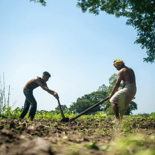 Farming Takeoff Services in usa